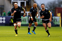 Falcons v Quins_LC_3286