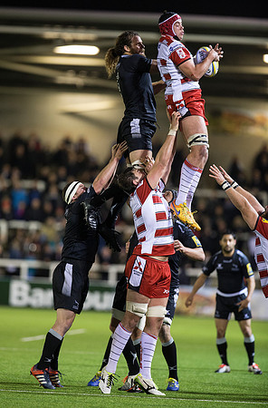 Falcons v GloucesterCL1_0170_