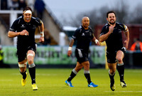 Falcons v Quins_LC_3290