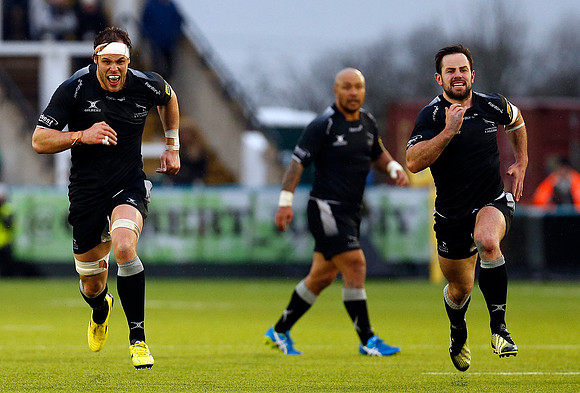 Falcons v Quins_LC_3290