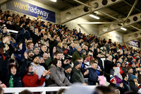 Falcons v Quins_LA_5026
