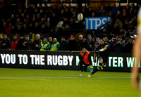 Falcons v Quins_LC_3603