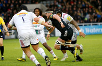Falcons v Quins_LA_4697