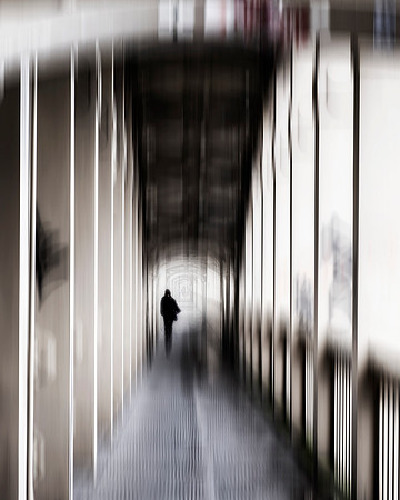 In to the Light