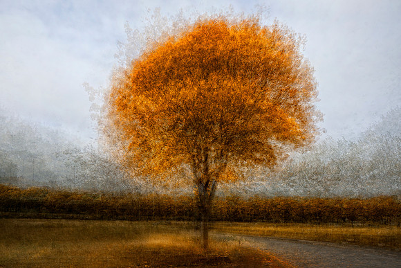 Touch of Autumn