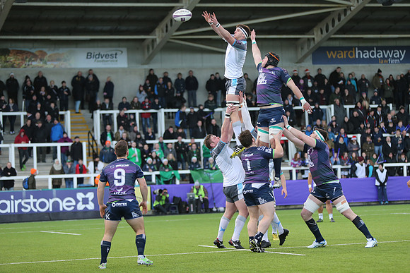 Falcons v Connacht_CLC_1551