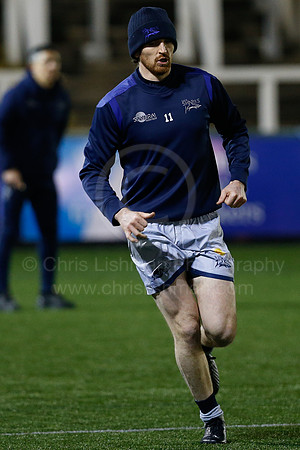 Falcons v Sharks007__LA_5790