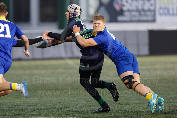 Gossy v B Burton_CDL_16-10-2024_CL_1223498