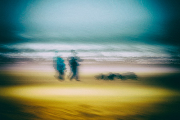 A Blustery Walk