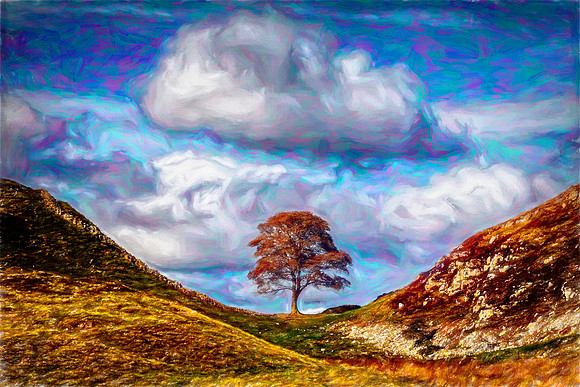 Sycamore Gap