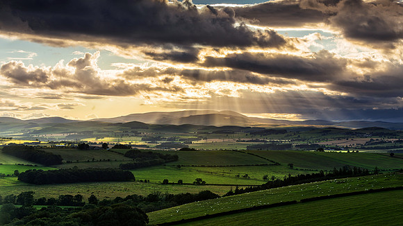 Crepuscular Rays