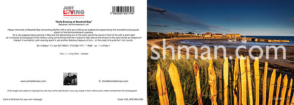 Early Evening at Beadnell Bay_A5 Greeting Card_Illustrator