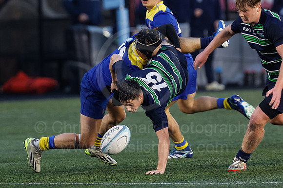 Gossy v B Burton_CDL_16-10-2024_CL_1223867