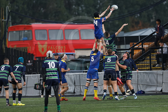 Gossy v B Burton_CDL_16-10-2024_CL_1222174