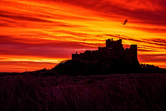 Pre-dawn I