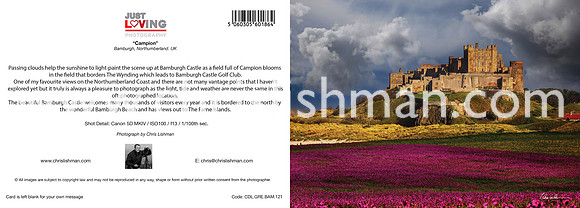 Campion_A5 Greeting Card_Illustrator