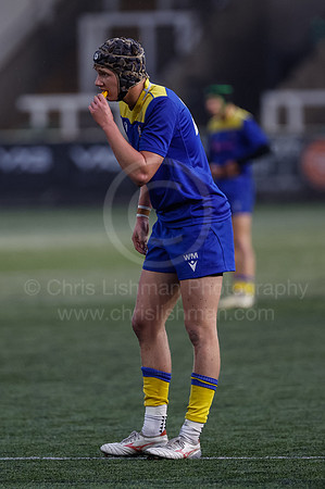 Gossy v B Burton_CDL_16-10-2024_CL_1223336