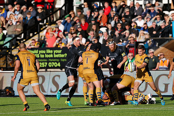 Falcons v Bristol_208_LC_9016