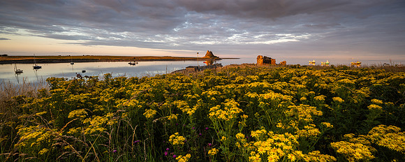 Holy Island_27-07-2024_CL_1107127-Pano