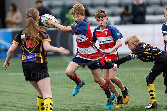 FAL_SAI_CDL_18-04-2025_CL_1432852