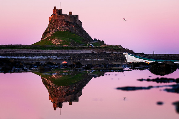 Dusky Reflections
