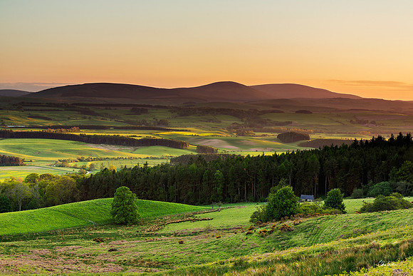 "Cheviot Hills"