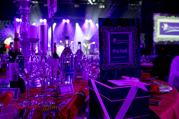 ASF Foundation Ball 2015_CDL_8892