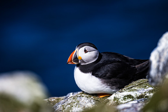 Farnes_031_LC_4595