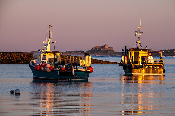 Evening Light