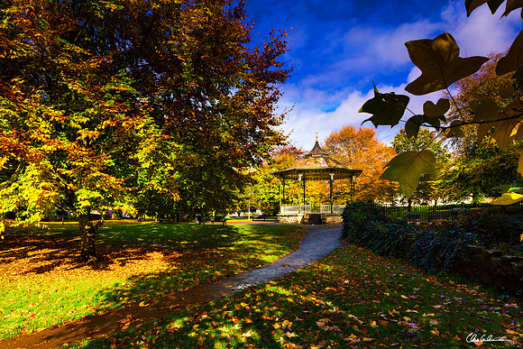 The Sele in Autumn