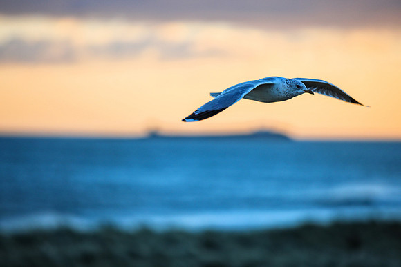 Soaring