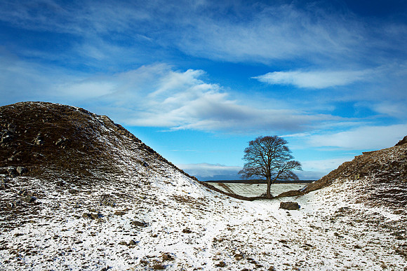"Snow at Sycamore Gap"