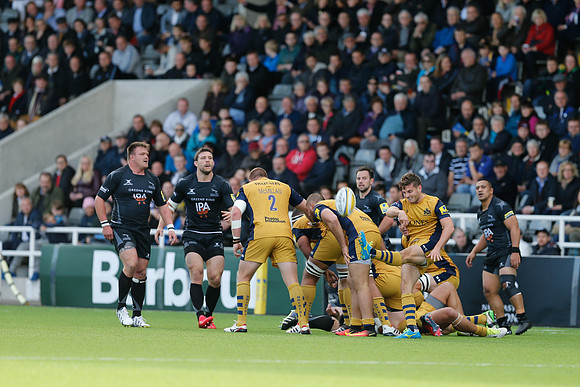 Falcons v Bristol_107_LC_8327