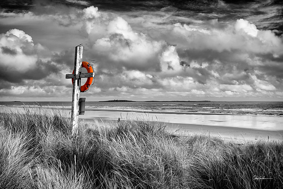 "Life Preserver"