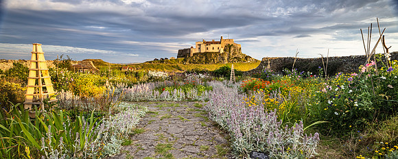 Holy Island_29-07-2024_CL_1107357-Pano_A