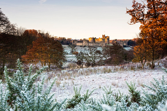 "Frosty Start"