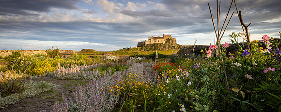 Holy Island_29-07-2024_CL_1107309-Pano