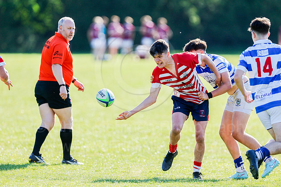 Colts Sevens_CDL_10-05-2025_CL_1478251
