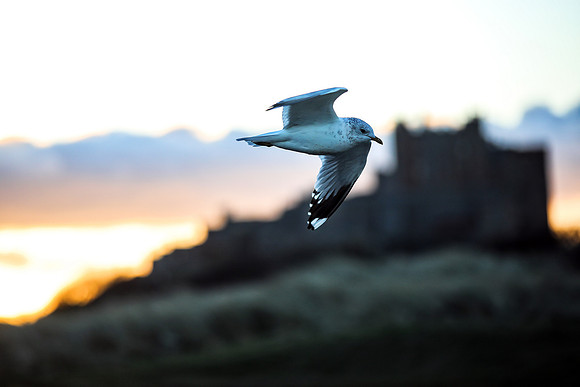 Fly-by